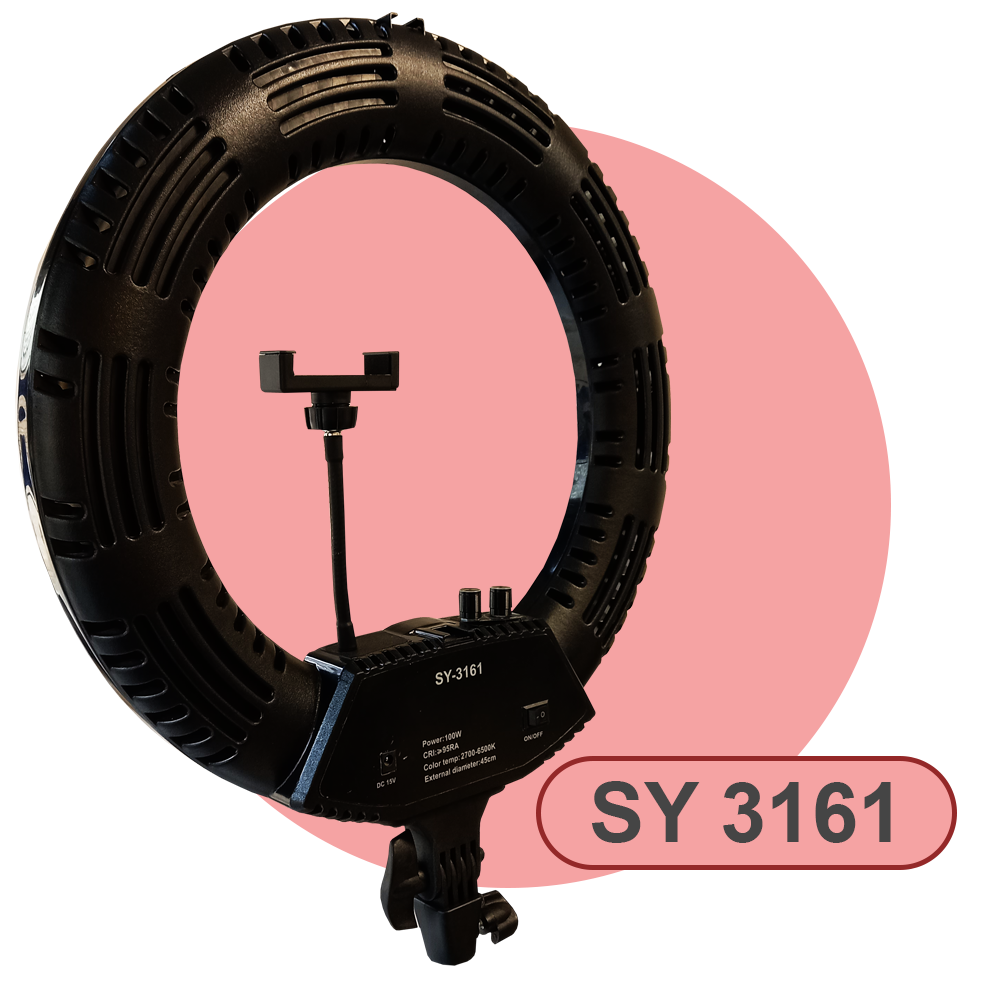 SY 3161